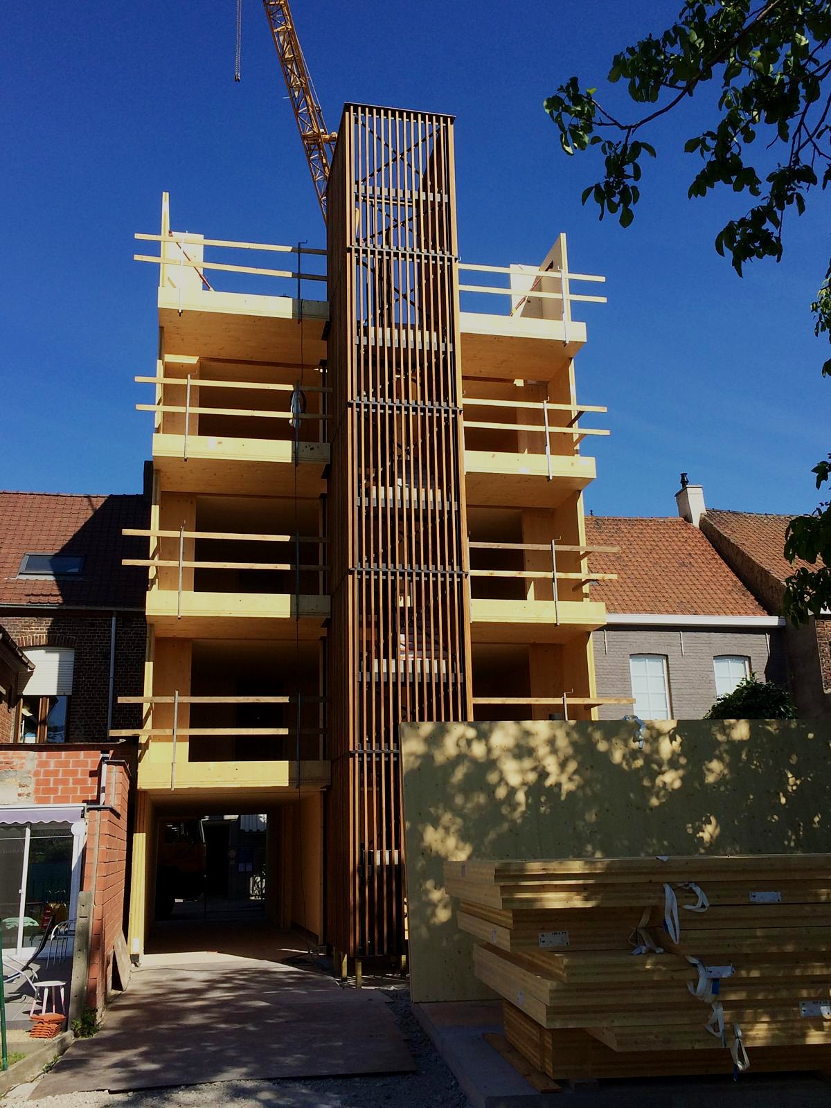 Ruwbouw in CLT met de kraan